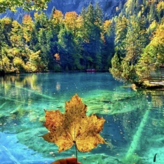 Карина , 26.08, Усинск