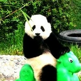 Лили Шарафутдинки, Самара