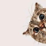 Галина Хомутовская, 20.06, Кропивницкий / Кировоград