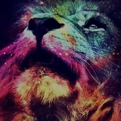 Асылхан Асенов, 14.06.2007