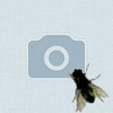 Костя Зорин, 29.03.1999, Жиличи