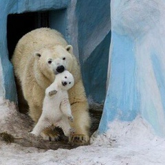 Айбек Тасболат, 02.01.1990, Москва