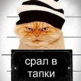 Максим Авдеенков, Брянск