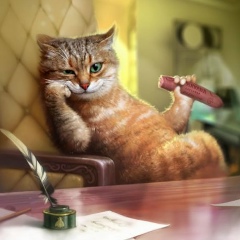 Кот Гермес, 08.03, Новороссийск