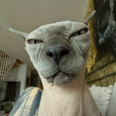 Наталья Гончарова, Одесса