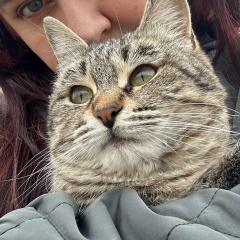 Настя Кельина, 11.11, Махачкала