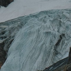 Kanada Goose, Новосибирск