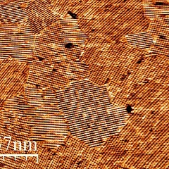 Глеб Турлаков, 16.11.1984, Москва