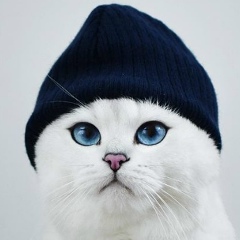 Кирилл Степанов, 07.01.1984, Москва