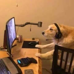 Вадя Хан, 04.03, Seoul