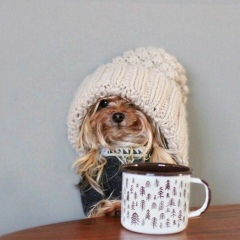 Анастасия Литовка, 27.04, Кременчуг