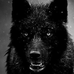 Тур Тур, 29.05, Санкт-Петербург