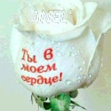 Айдос Аманов, 24.11.1995, Астана