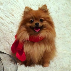 Анна Можаева, 07.12, Москва