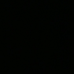 Шынар Жумадил, Алматы