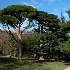 Оксана Световидова, 21.04.1985, Казань