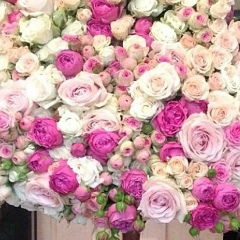 Moldir Abilgaziyeva, 31.05, Астана