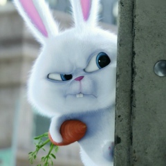 Михаил Васькив, 17.07, Киев