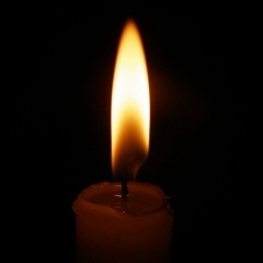 Maksim Pronin, Краснодарка