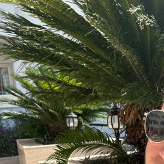 Yelena Sadikova, Санкт-Петербург