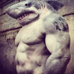 Hayk Hovhannisyan, 28.10