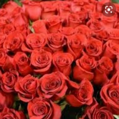 Светочка Готовицкая, 10.06.2003, Харьков