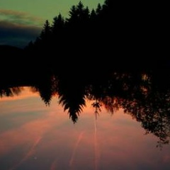 Зульфия Урмеева, 15.06