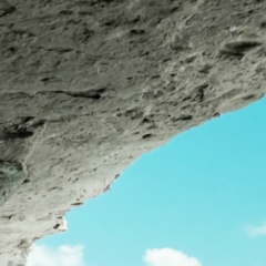 Танюшка Паутова, Москва