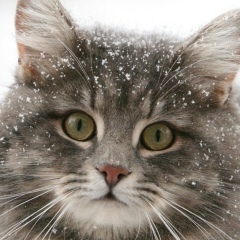 Надежда Дудина, 10.10.1954, Москва