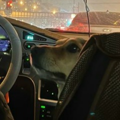 Альбина Гареева, 15.04, Тюмень