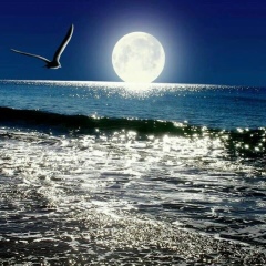 Arnat Orazgali, 05.02, Актау