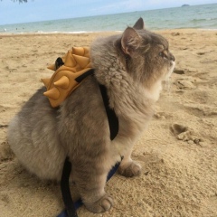 Юлия Новых, 03.11, Екатеринбург