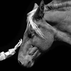 Zalina Kasaeva, 25.08