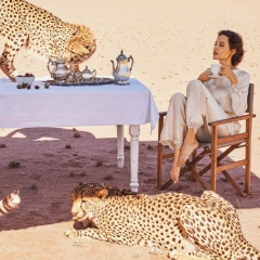 Адия Сатханова, 26.02, Hollywood