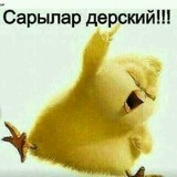 Елдос Кенескул, 26.03.2000, Тараз