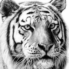 Иван Любимов, 29.11, Новосибирск