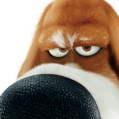 Евгения Макашенец, Казань