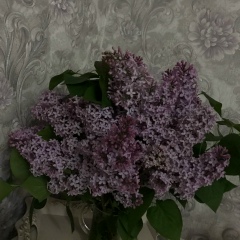 Карина Швейцер, 13.02.1999, Хасавюрт