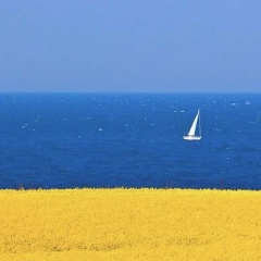 Лариса Пальмира, Одесса