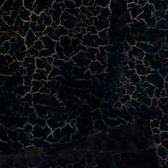 Александр Тарасов, Санкт-Петербург