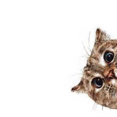 Инесса Гостева, 07.05, Москва