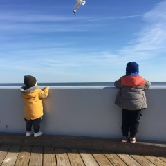 Dmitry Novikov, 13.04.1987, Ocean City