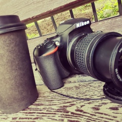 Илья Гребеньщиков