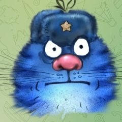 Сергей Сушко, Севастополь