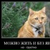 Женя Голиков, 10.08.1996, Зимовники