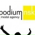 Podium Nsk, Новосибирск