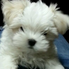 Алёнка Хасимуто, 25.02.1987, Южно-Сахалинск