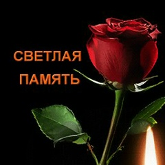 Всеволод Васильев, 21.12.1983, Санкт-Петербург
