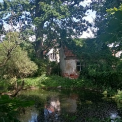 Ирина Ларина, Новосибирск