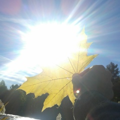 Николай Крупович, 17.05